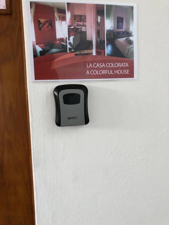 La Casa Colorata Apartman Pisa Kültér fotó